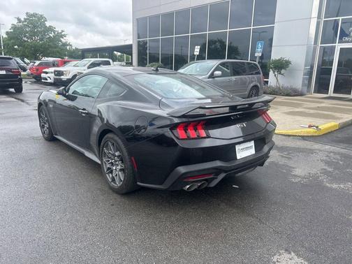 Shadow Black 2025 Ford Mustang GT