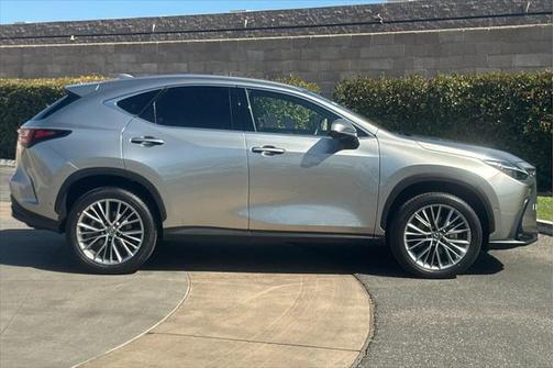 2024 Lexus NX 350h Luxury