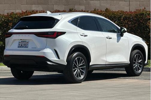 2024 Lexus NX 250 Base