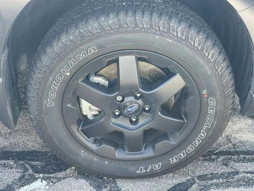 2025 Subaru Outback Wilderness