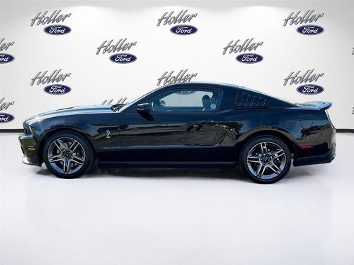Brilliant Silver Clearcoat Metallic 2010 Ford Shelby GT500 Base