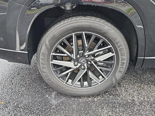 2024 Lexus TX 350 Premium