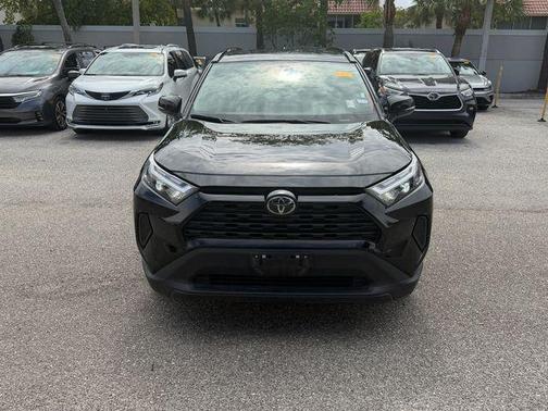 Ice Cap 2025 Toyota RAV4 XLE