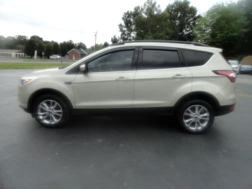 Gold 2018 Ford Escape SEL