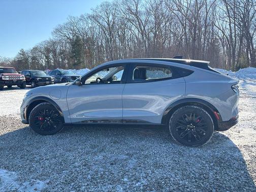 Glacier Gray Metallic TriCoat 2025 Ford Mustang Mach-E Premium