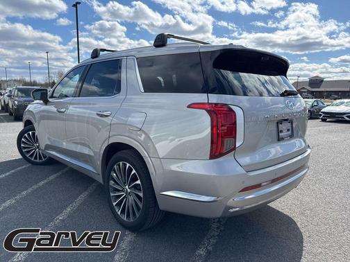 Typhoon Silver 2023 Hyundai PALISADE Calligraphy