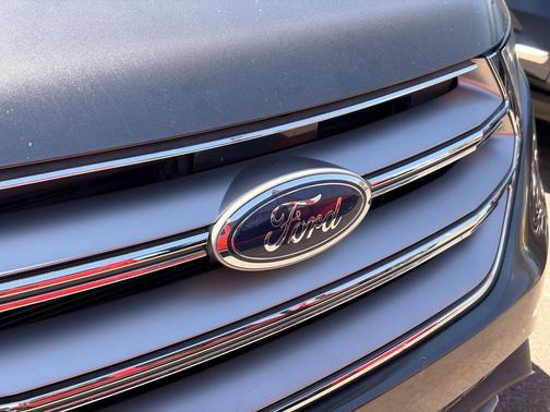 Magnetic 2015 Ford Edge SEL