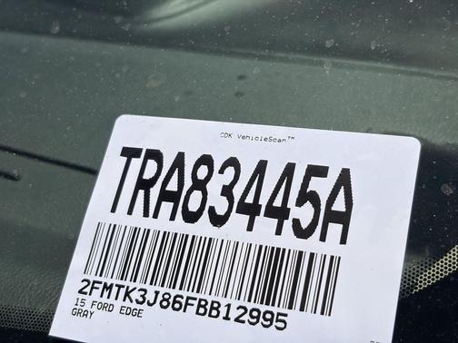 Magnetic 2015 Ford Edge SEL