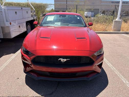 Rapid Red Metallic Tinted Clearcoat 2021 Ford Mustang EcoBoost