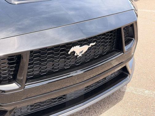 Shadow Black 2024 Ford Mustang GT Premium