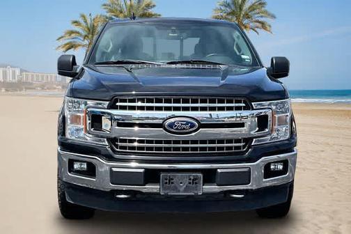 AGATE BLACK 2019 Ford F-150 XLT