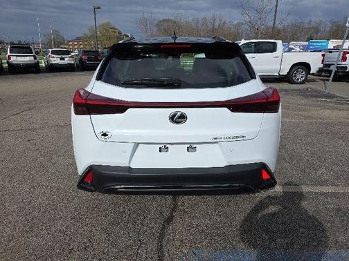 Ultra White w/Obsidian Roof 2023 Lexus UX 250h F Sport