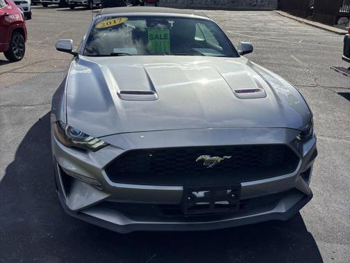 2022 Ford Mustang EcoBoost