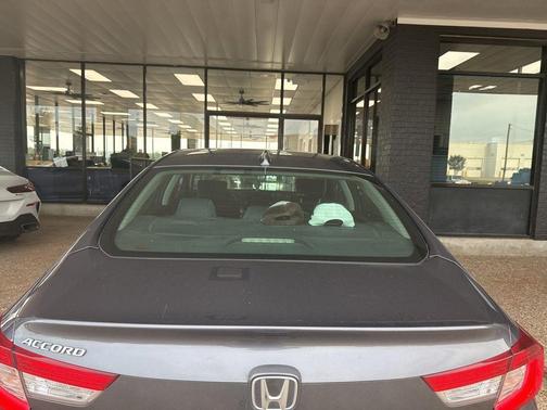 Modern Steel Metallic 2020 Honda Accord LX 1.5T