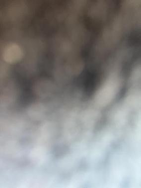 2023 Land Rover Discovery P300 S R-Dynamic