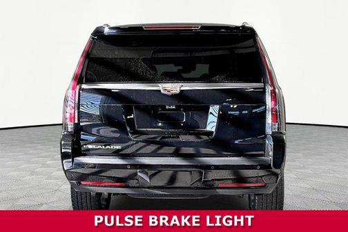 Black Raven 2020 Cadillac Escalade Luxury