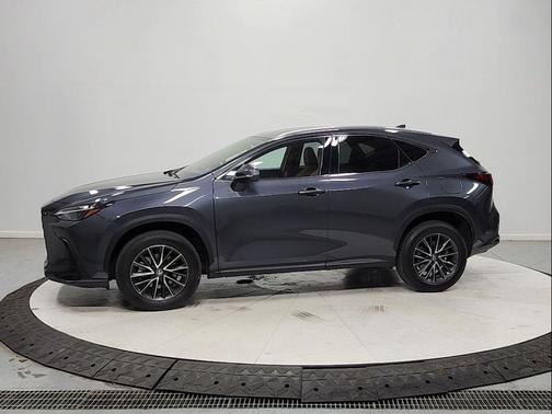Cloudburst Gray 2024 Lexus NX 350h Premium