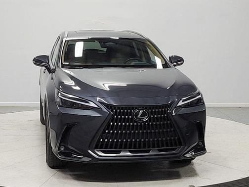 Cloudburst Gray 2024 Lexus NX 350h Premium