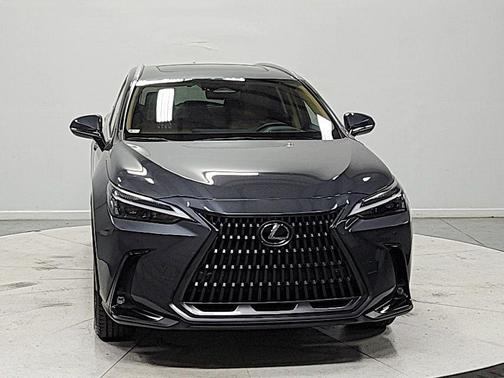 Cloudburst Gray 2024 Lexus NX 350h Premium