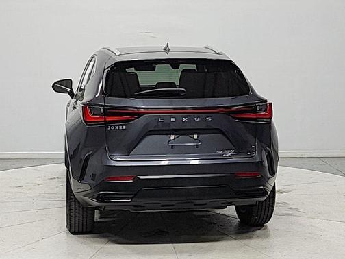 Cloudburst Gray 2024 Lexus NX 350h Premium