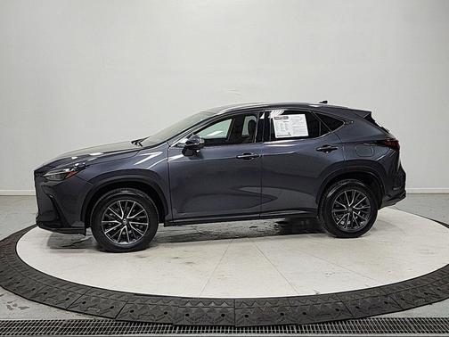 Cloudburst Gray 2024 Lexus NX 350h Premium