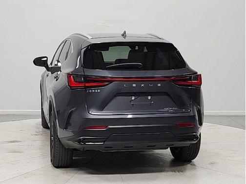 Cloudburst Gray 2024 Lexus NX 350h Premium