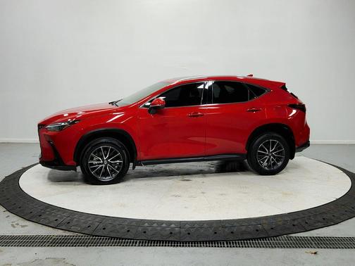 Redline 2024 Lexus NX 250 Premium