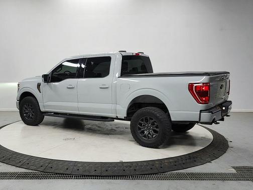 AVALANCHE 2023 Ford F-150 Tremor