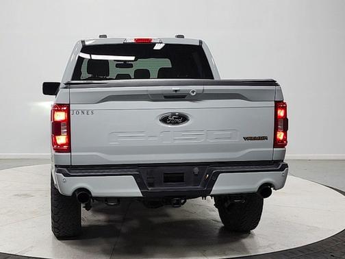 AVALANCHE 2023 Ford F-150 Tremor