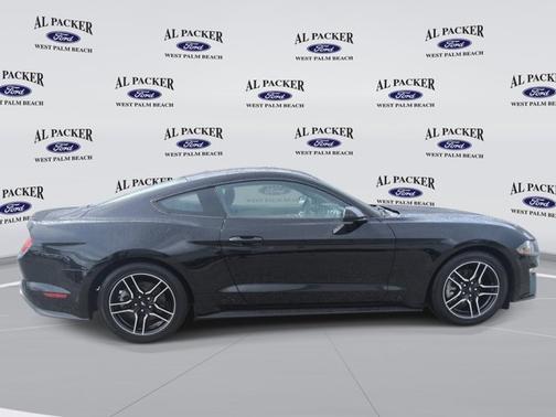 SHADOW BLACK 2019 Ford Mustang ECOBOOST