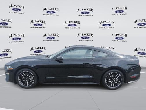 SHADOW BLACK 2019 Ford Mustang ECOBOOST