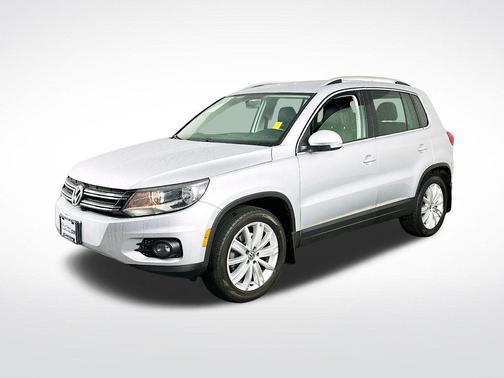 Reflex Silver Metallic 2013 Volkswagen Tiguan SE