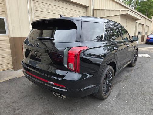 Abyss Black Pearl 2025 Hyundai PALISADE Calligraphy Night Edition
