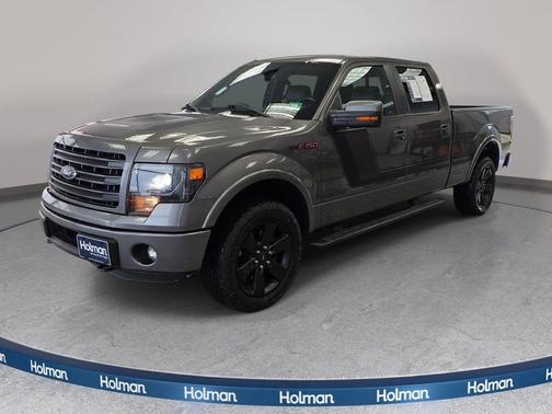 Sterling Gray Metallic 2014 Ford F-150 FX4