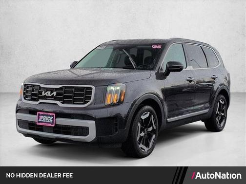 Panthera Metal 2025 Kia Telluride S