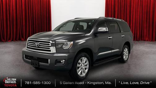 2019 Toyota Sequoia Platinum