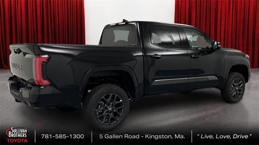 2025 Toyota Tundra Platinum