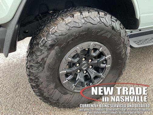 CACTUS GRAY 2024 Ford Bronco Raptor