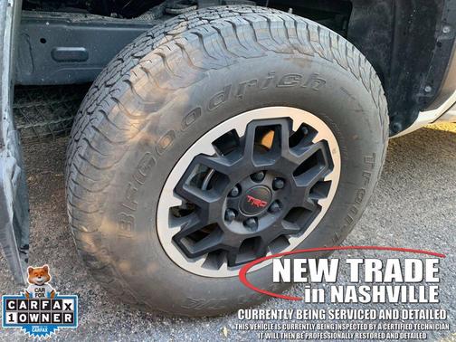 Ice Cap 2025 Toyota Tacoma TRD Off Road