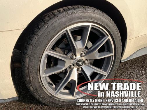 2015 Ford Mustang GT 50 Years Limited Edition