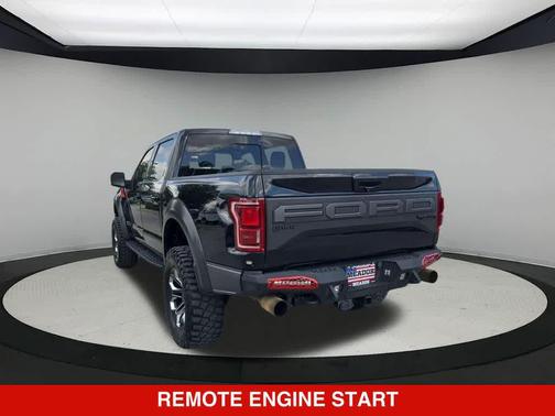 Agate Black Metallic 2019 Ford F-150 Raptor