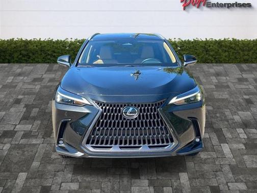 2025 Lexus NX 250 Base