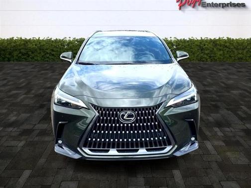 2024 Lexus NX 250 Premium