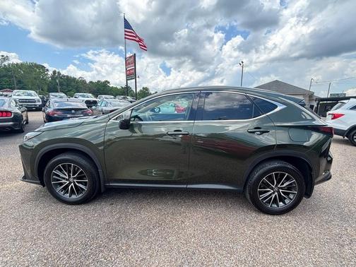 Green 2024 Lexus NX 350 Base