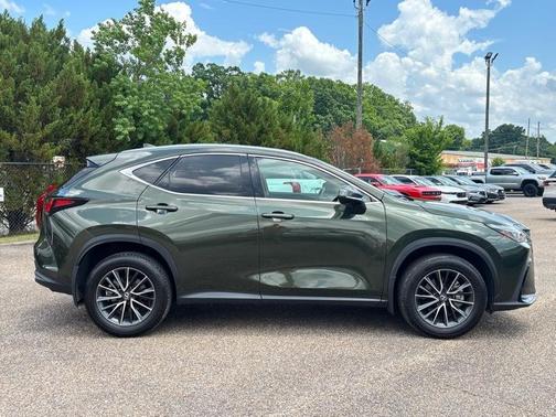 Green 2024 Lexus NX 350 Base