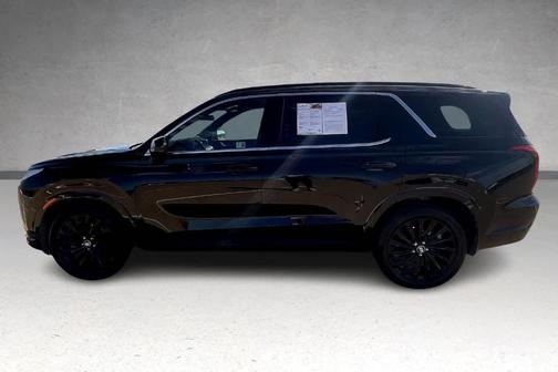 Abyss Black Pearl 2025 Hyundai PALISADE Calligraphy Night Edition