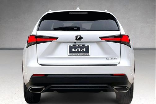 2019 Lexus NX 300 NX 300