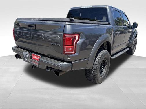 Magnetic 2018 Ford F-150 Raptor