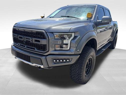 Magnetic 2018 Ford F-150 Raptor