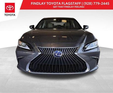 Nebula Gray Pearl 2019 Lexus ES 300h 300H